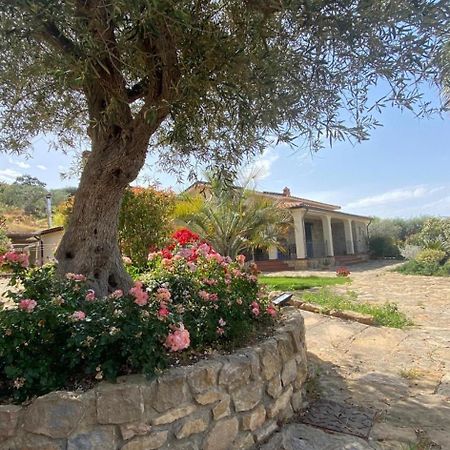 Villa Russo كالتانيسيتا المظهر الخارجي الصورة